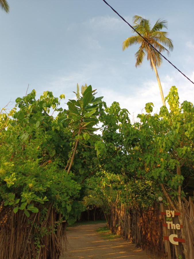 By The C' Cabanas Hikkaduwa Exterior photo