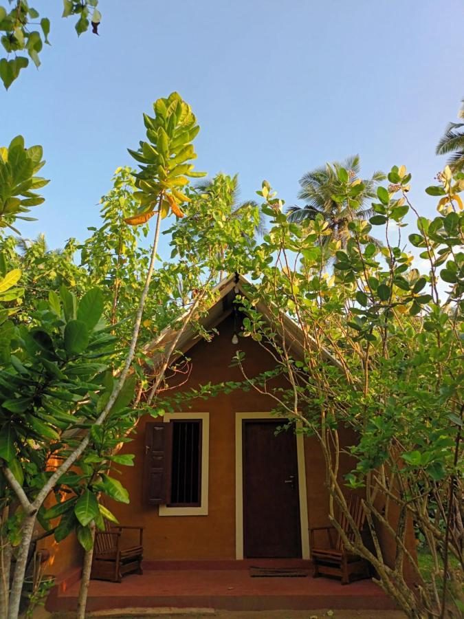 By The C' Cabanas Hikkaduwa Exterior photo