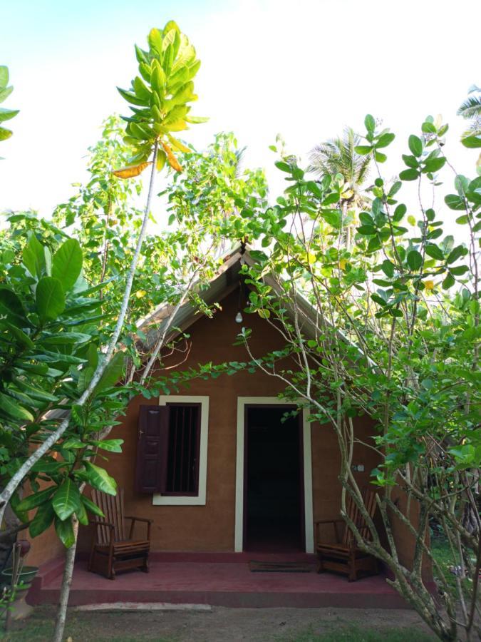 By The C' Cabanas Hikkaduwa Exterior photo