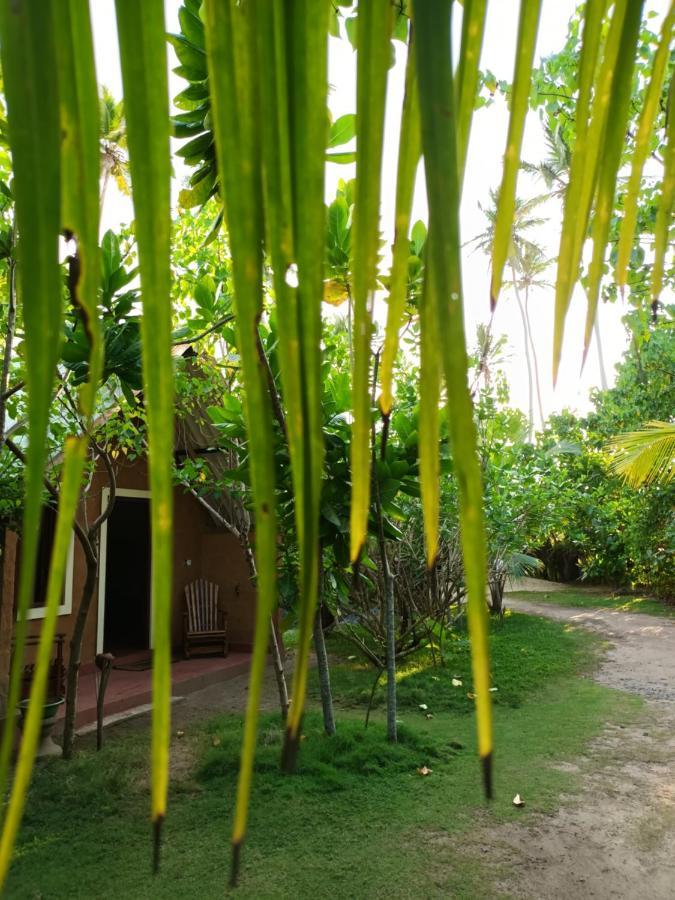 By The C' Cabanas Hikkaduwa Exterior photo